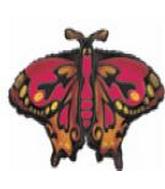 28" SH Monarch Butterfly
