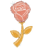 60" Foil Balloon Holographic Fresh Picks Rose Gold Rose