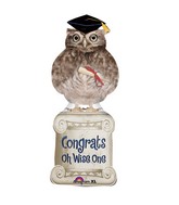 Wise Owl Grad Balloon