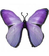 31" Monarch Purple